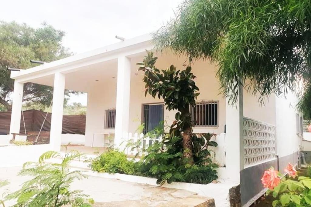Casa Campo Con Piscina Y Barbacoa Para 6 Personas En Plena Naturaleza Picassent Luaran gambar